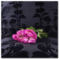 Obraz na stenu ZS - pomer 1:1