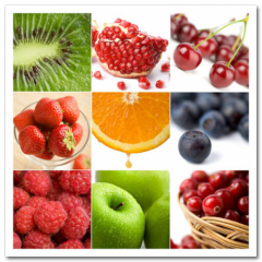 Obraz na stenu ZS - pomer 1:1