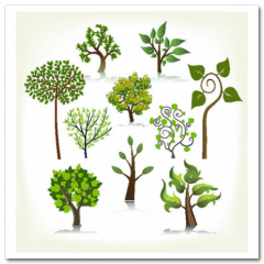 Obraz na stenu ZS - pomer 1:1