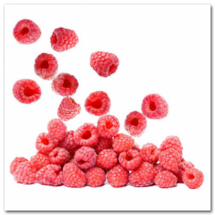 Obraz na stenu ZS - pomer 1:1