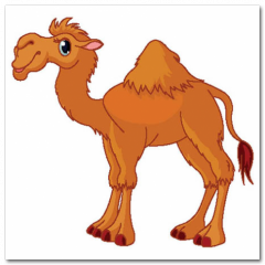 Obraz na stenu ZS - pomer 1:1