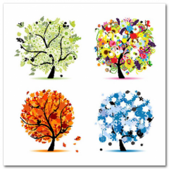 Obraz na stenu ZS - pomer 1:1