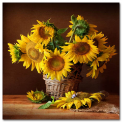 Obraz na stenu ZS - pomer 1:1