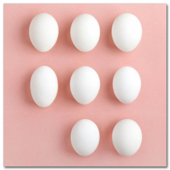 Obraz na stenu ZS - pomer 1:1