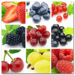 Obraz na stenu ZS - pomer 1:1