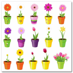 Obraz na stenu ZS - pomer 1:1