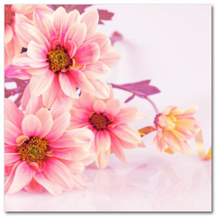 Obraz na stenu ZS - pomer 1:1