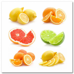 Obraz na stenu ZS - pomer 1:1