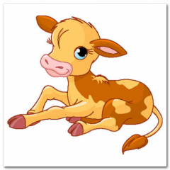 Obraz na stenu ZS - pomer 1:1