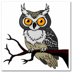 Obraz na stenu ZS - pomer 1:1