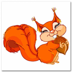 Obraz na stenu ZS - pomer 1:1