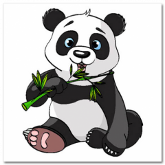 Obraz na stenu ZS - pomer 1:1