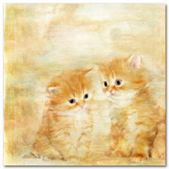 Obraz na stenu ZS - pomer 1:1