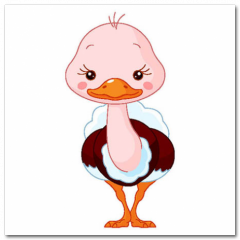 Obraz na stenu ZS - pomer 1:1