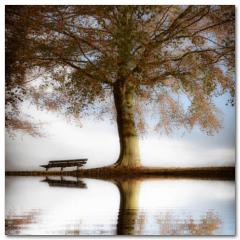 Obraz na stenu ZS - pomer 1:1