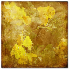 Obraz na stenu ZS - pomer 1:1