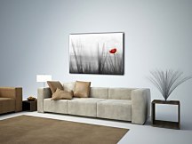 Divé maky - Obraz CD0029