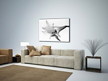 Ľalia - Obraz  CD0044