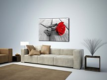 Ruža na móle - Obraz CD0046