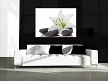 Biela ľalia, spa - Obraz CD0322