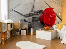 Fototapeta na stenu Kvety FM0046