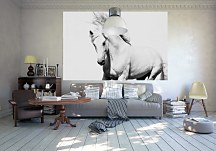 White Arabian Horse - fototapeta FS0701