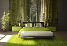 Les Jarné ráno - fototapeta FM0708