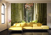 Les Jarné ráno - fototapeta FM0708