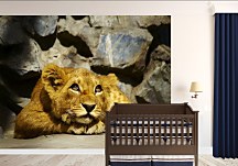 Lion cub - fototapeta FM0714