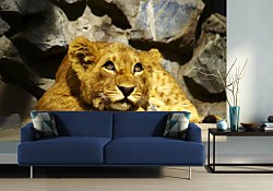 Lion cub - fototapeta FM0714