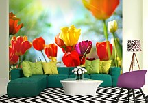 Fototapeta Tulipány  FM0717