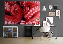 Chobotnica fototapeta FSA0706