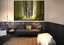 Jarné ráno v lese - fototapeta FS0708