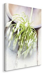 White Still Life I - Obraz WDC44730