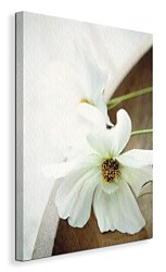 White Still Life II - Obraz WDC44731