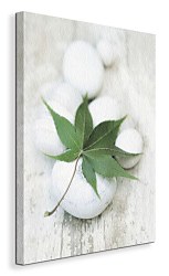 White Still Life III - Obraz WDC44732