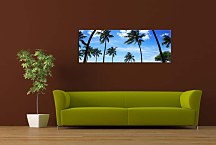 Obrazy Palmy zs18501