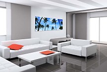 Obrazy Palmy zs18501