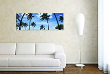 Obrazy Palmy zs18501