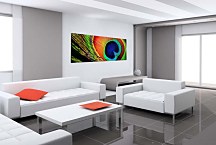 Panoráma Obraz Pávie pero zs129