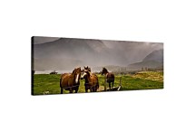 Panoráma Zvierat Obrazy zs127