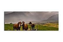 Panoráma Zvierat Obrazy zs127