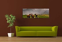 Panoráma Zvierat Obrazy zs127