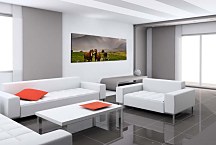 Panoráma Zvierat Obrazy zs127