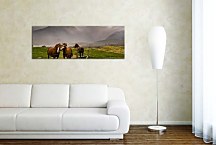 Panoráma Zvierat Obrazy zs127