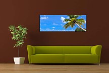 Obrazy Palmy zs404