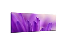 Obrazy Panoráma Kvetov zs3134