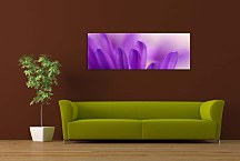 Obrazy Panoráma Kvetov zs3134