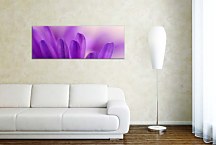 Obrazy Panoráma Kvetov zs3134