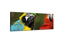 Obrazy Panoráma Zvieratá zs126